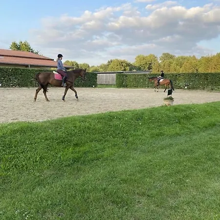 Feriehus On A Horse Farm