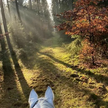 On A Horse Farm Feriehus