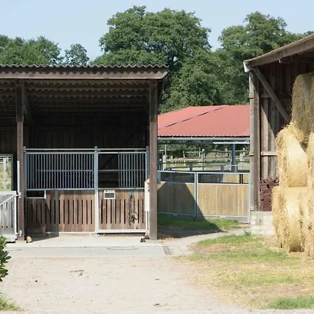 On A Horse Farm * Eschede